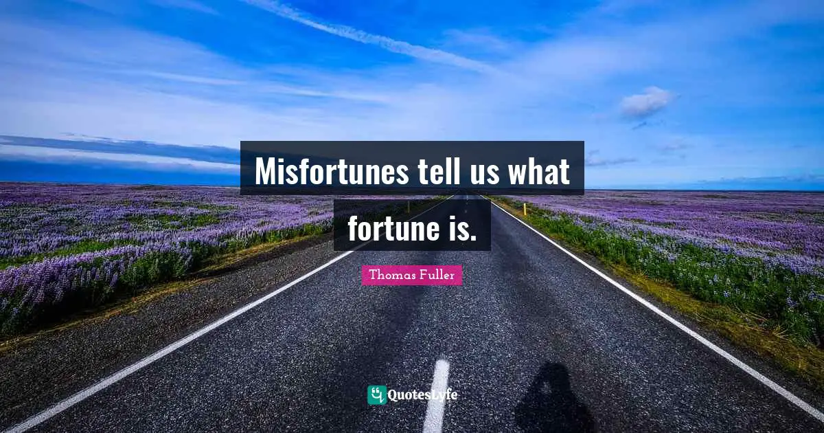 Misfortunes tell us what fortune is.