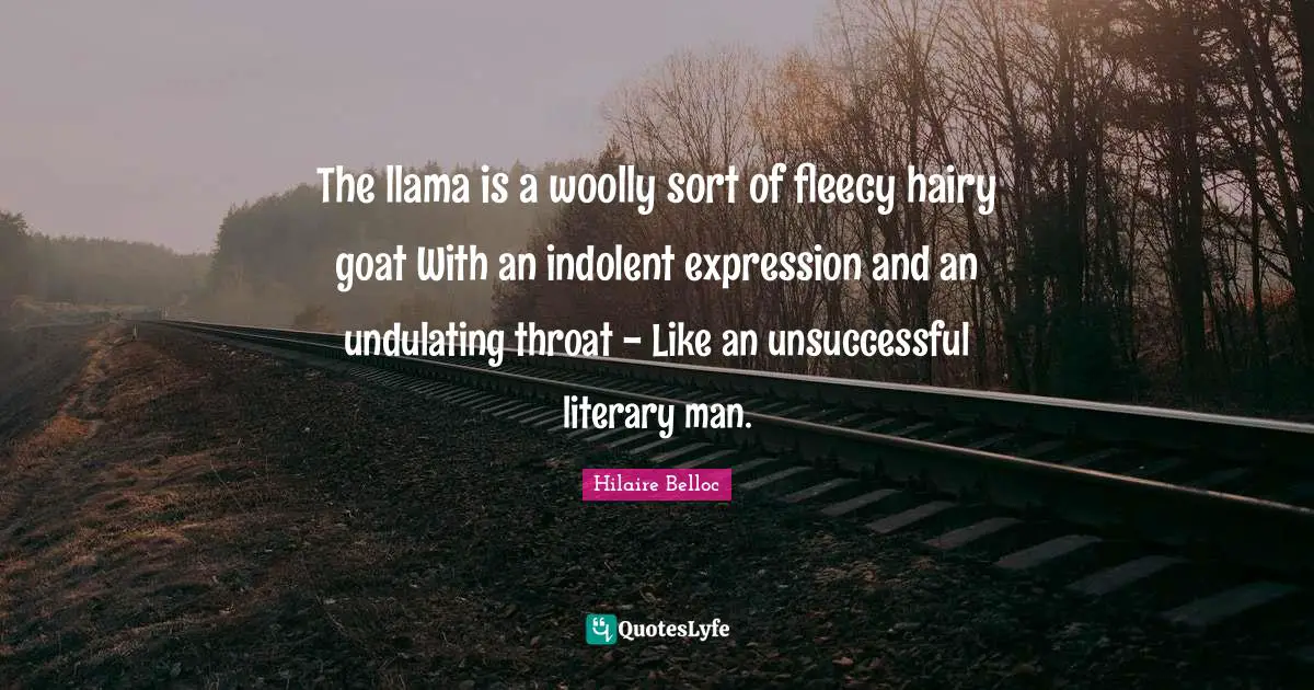 The llama is a woolly sort of fleecy hairy goat With an indolent expression and an undulating throat - Like an unsuccessful literary man.