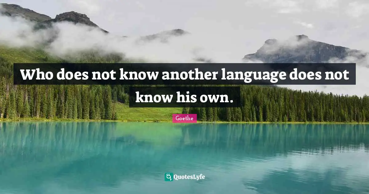 Who does not know another language does not know his own.