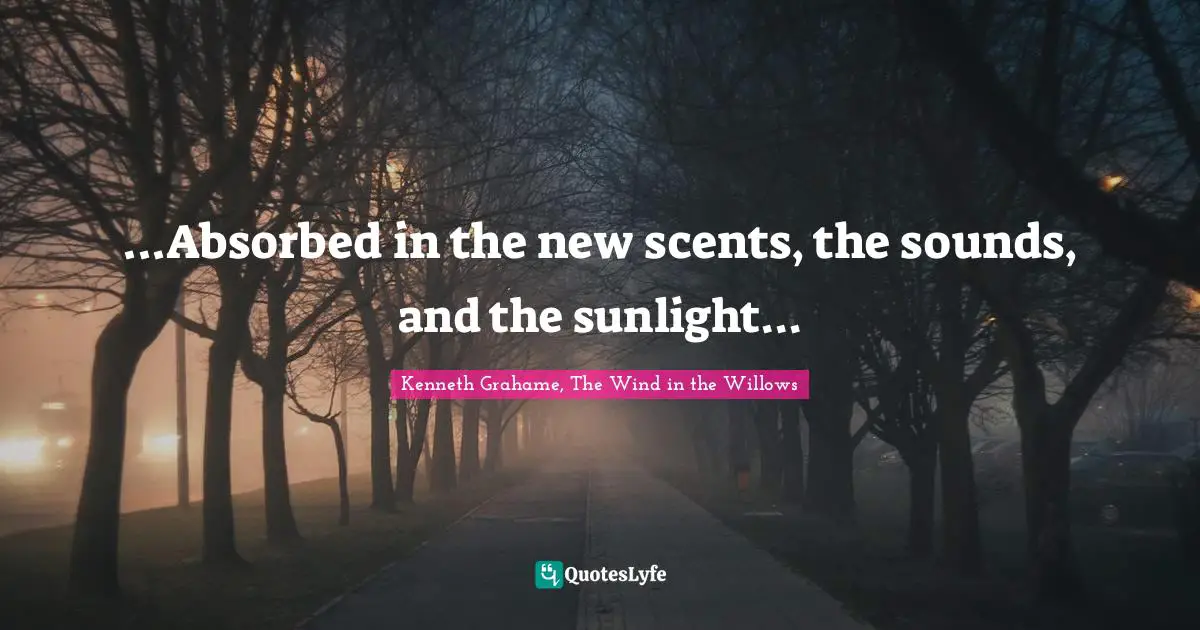 ...Absorbed in the new scents, the sounds, and the sunlight...