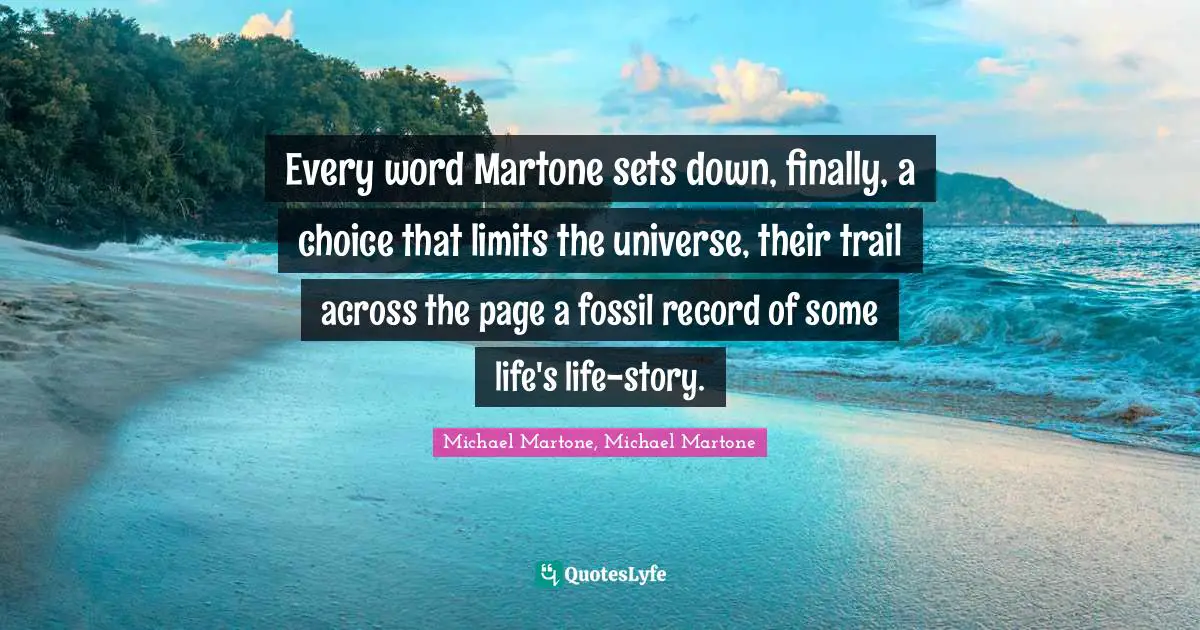 Every word Martone sets down, finally, a choice that limits the universe, their trail across the page a fossil record of some life's life-story.