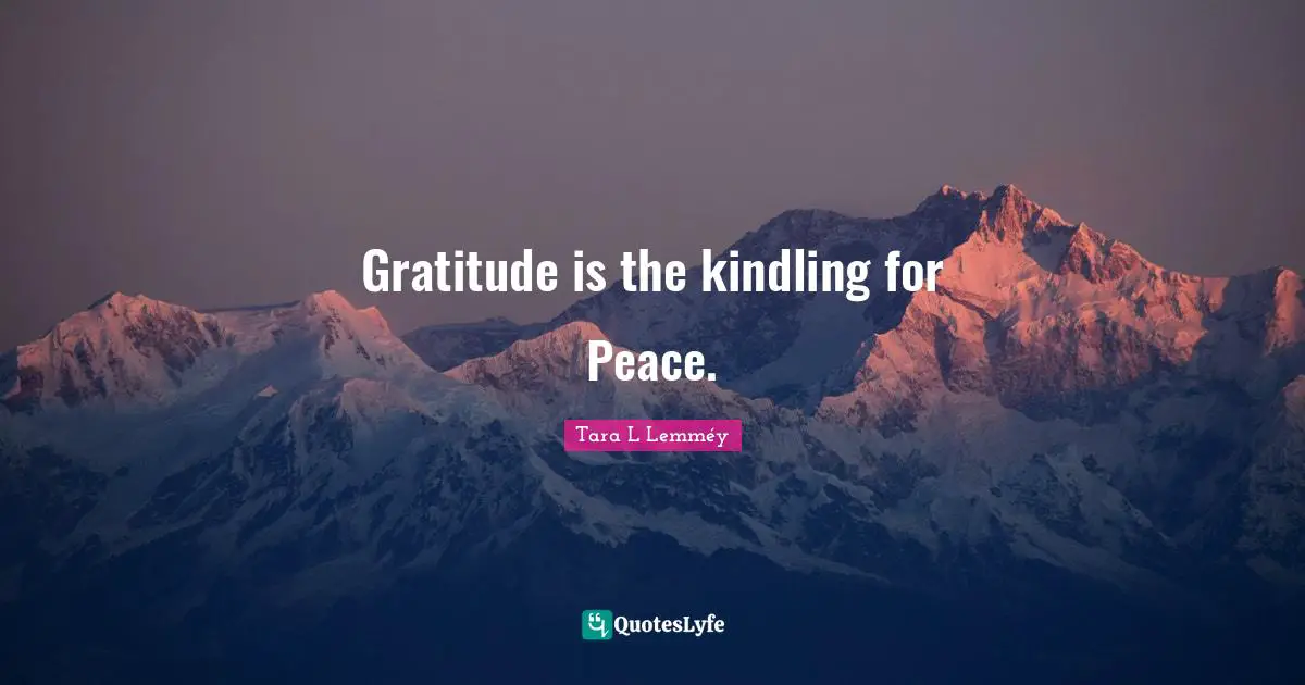 Gratitude is the kindling for Peace.