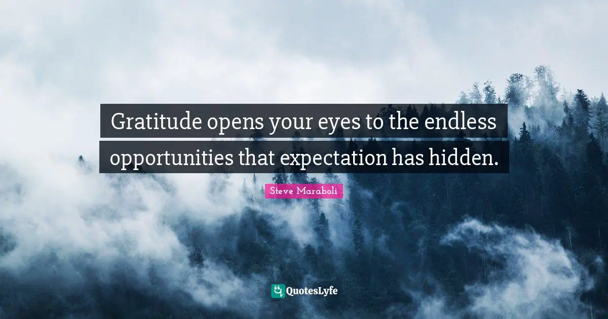 Gratitude opens your eyes to the endless opportunities that expectation has hidden.
