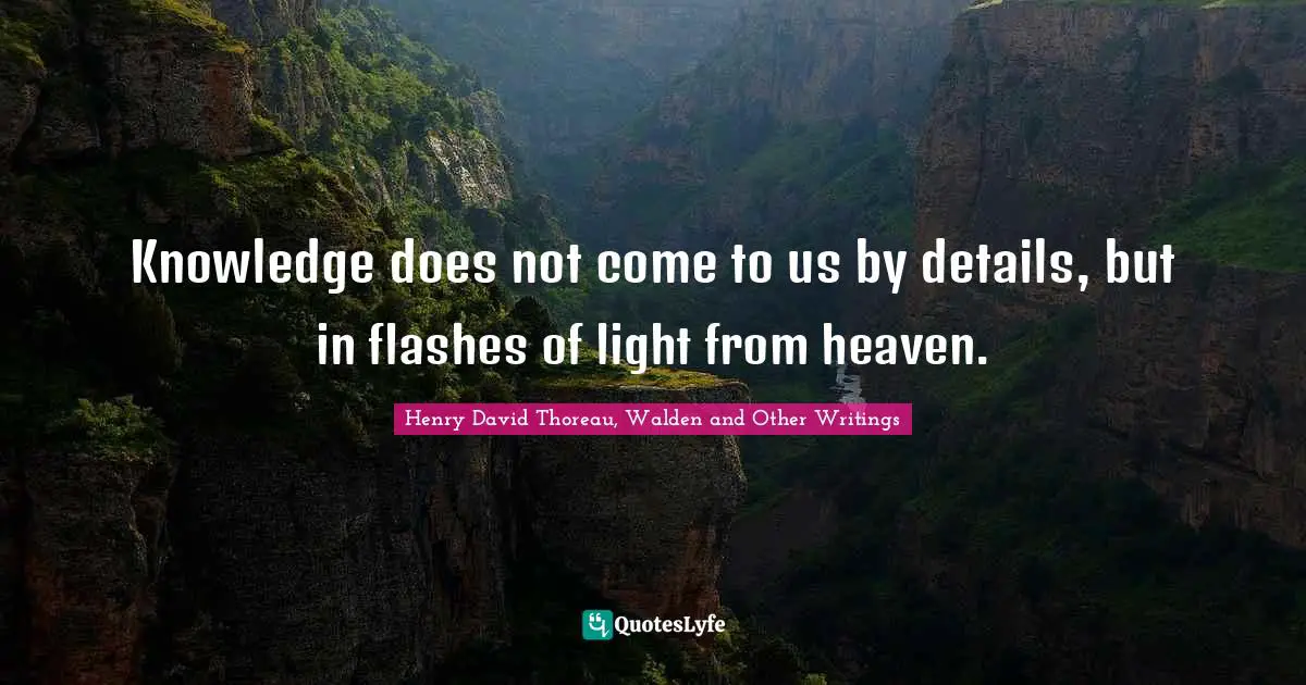 Knowledge does not come to us by details, but in flashes of light from heaven.