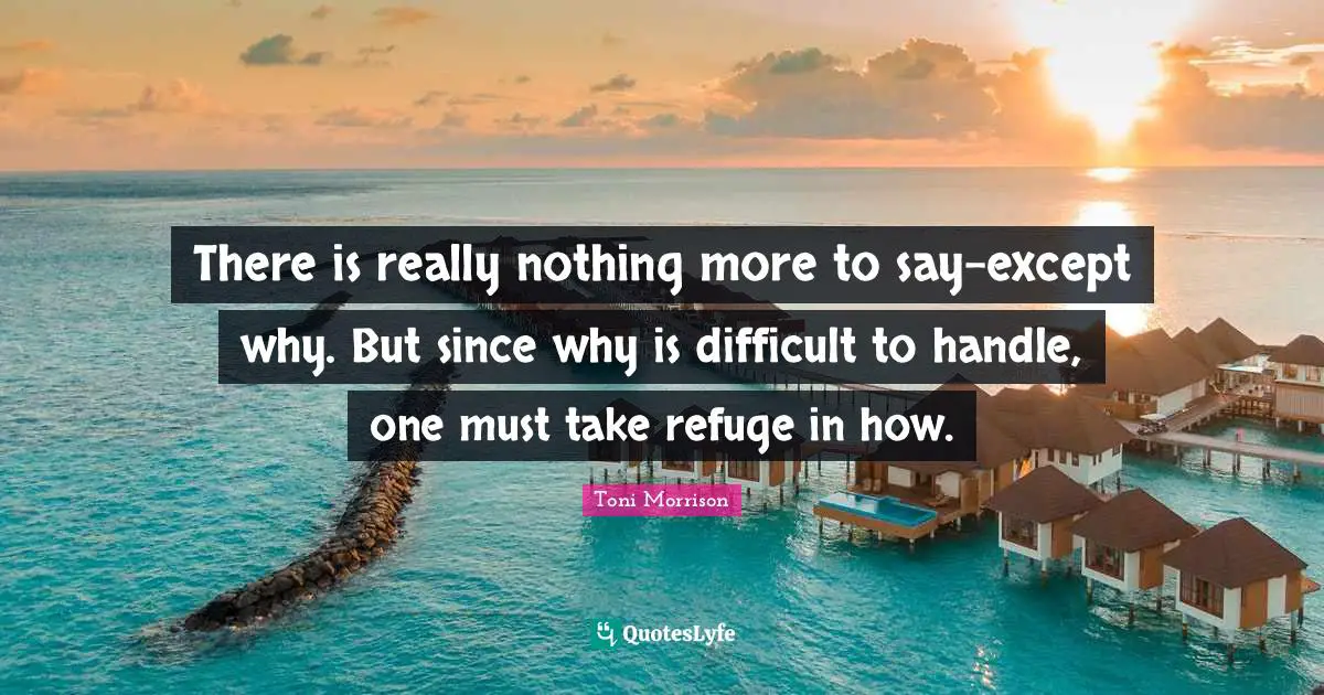There is really nothing more to say-except why. But since why is difficult to handle, one must take refuge in how.