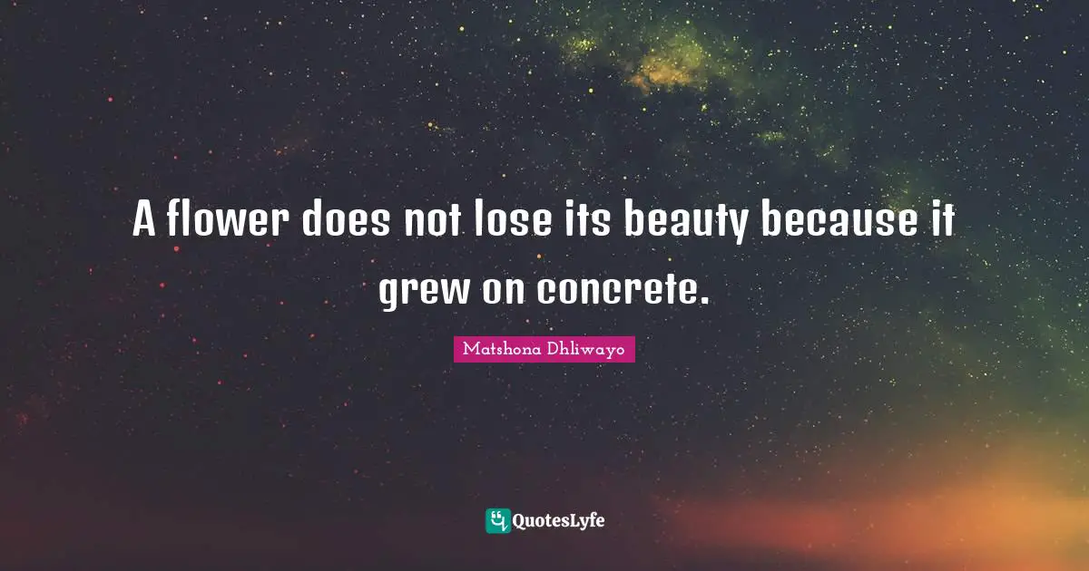 A flower does not lose its beauty because it grew on concrete.
