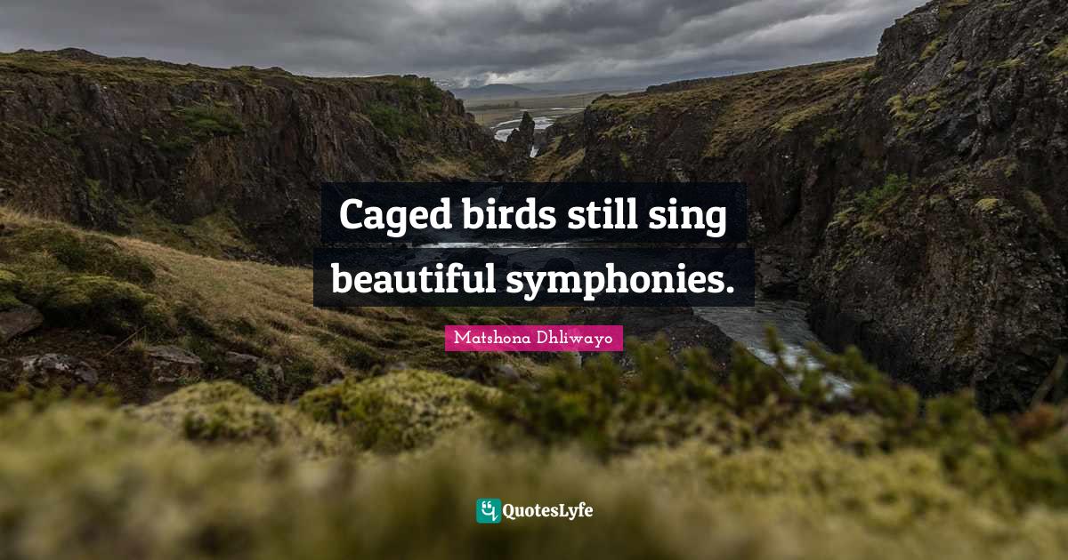 Caged birds still sing beautiful symphonies.... Quote by Matshona