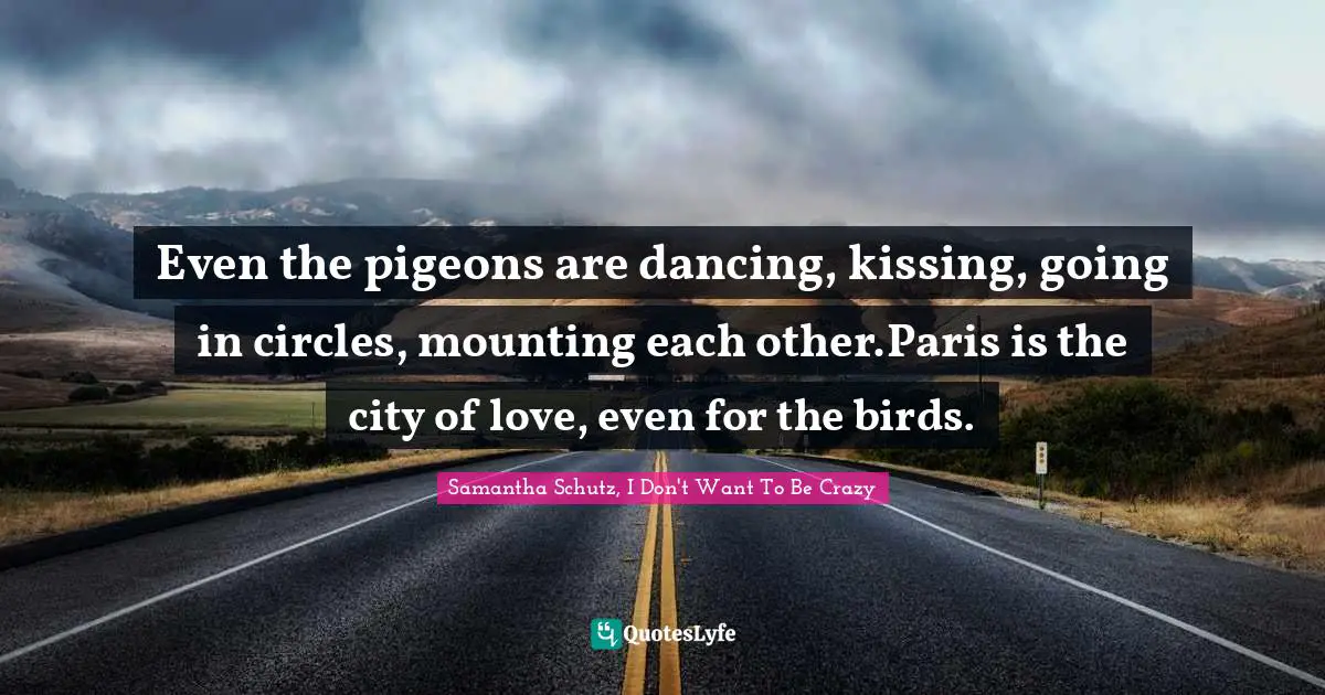 Even the pigeons are dancing, kissing, going in circles, mounting each other.Paris is the city of love, even for the birds.