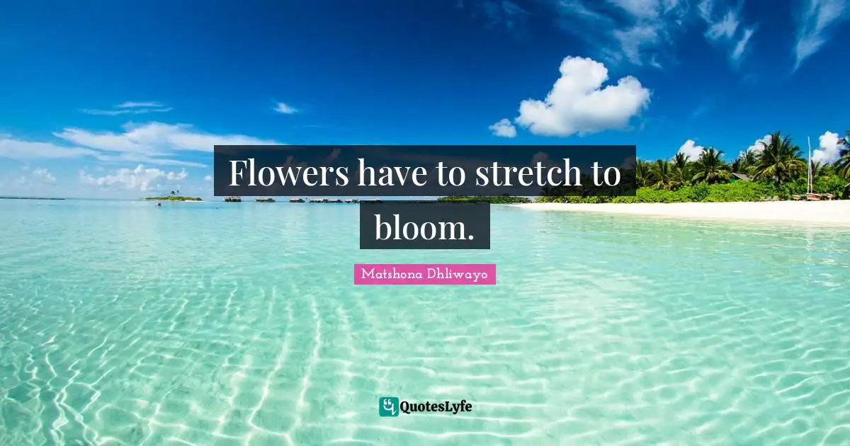 Flowers have to stretch to bloom.