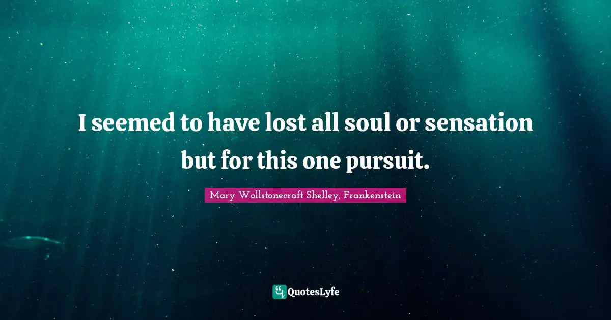 I seemed to have lost all soul or sensation but for this one pursuit.