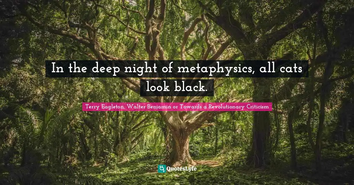 In the deep night of metaphysics, all cats look black.