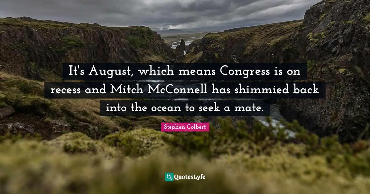 It's August, which means Congress is on recess and Mitch McConnell has shimmied back into the ocean to seek a mate.