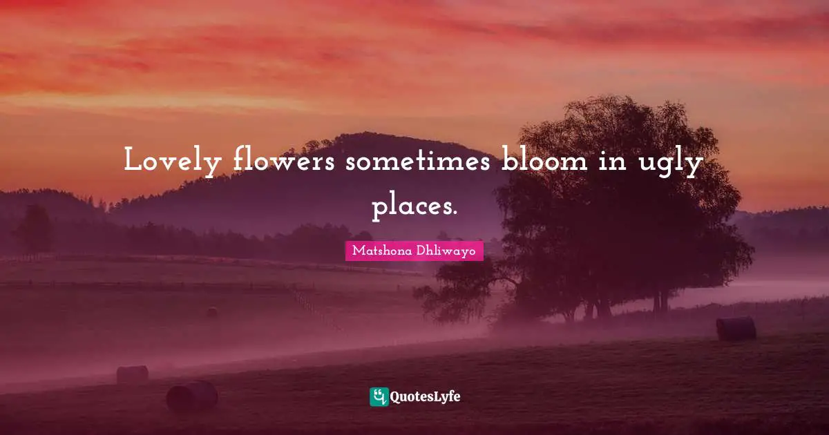 Lovely flowers sometimes bloom in ugly places.