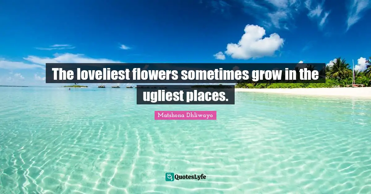 The loveliest flowers sometimes grow in the ugliest places.