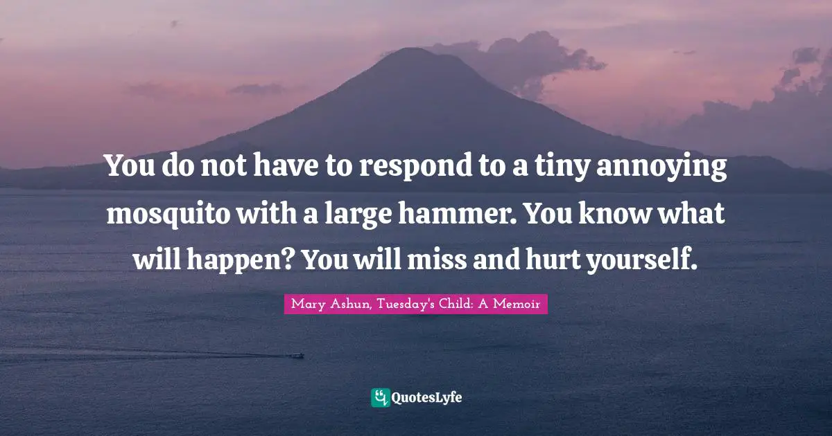 You do not have to respond to a tiny annoying mosquito with a large hammer. You know what will happen? You will miss and hurt yourself.