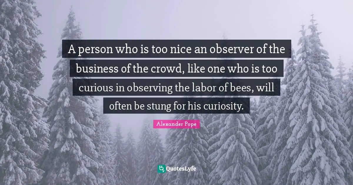 A person who is too nice an observer of the business of the crowd, like one who is too curious in observing the labor of bees, will often be stung for his curiosity.