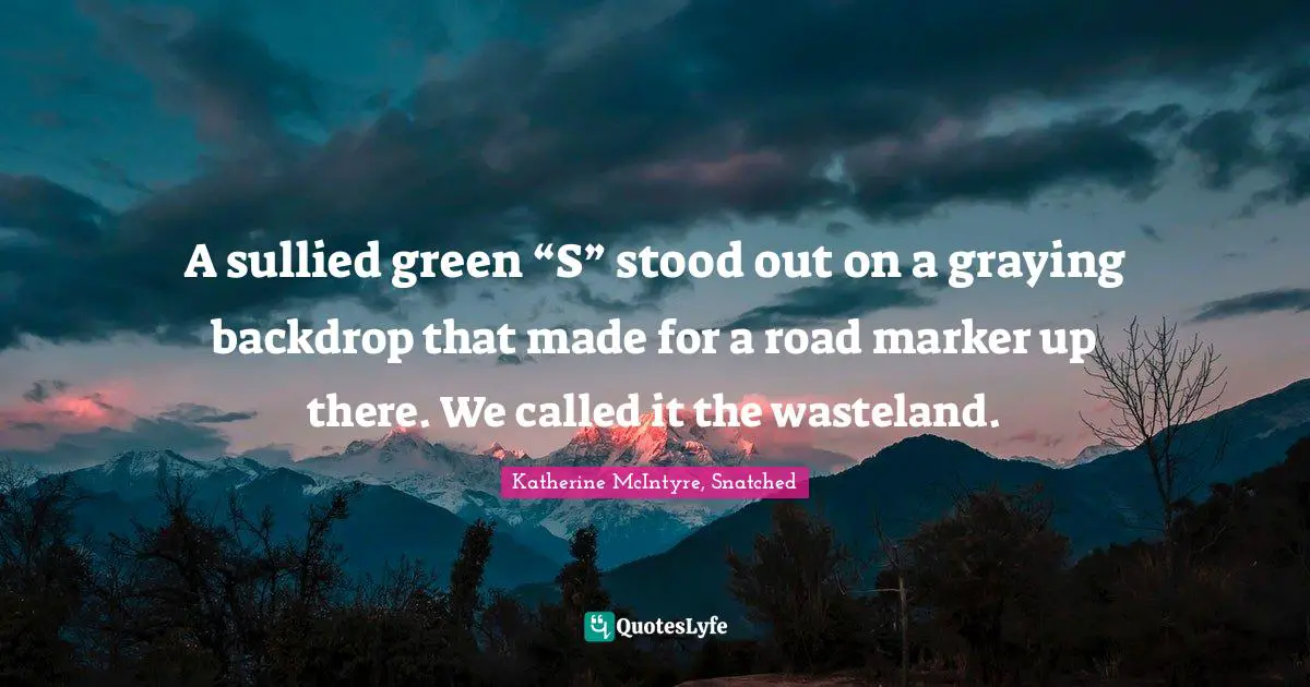 A sullied green “S” stood out on a graying backdrop that made for a road marker up there. We called it the wasteland.