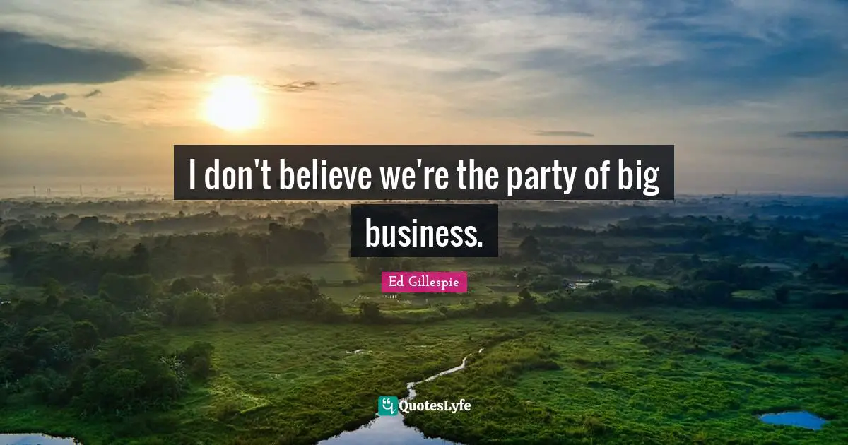 I don't believe we're the party of big business.