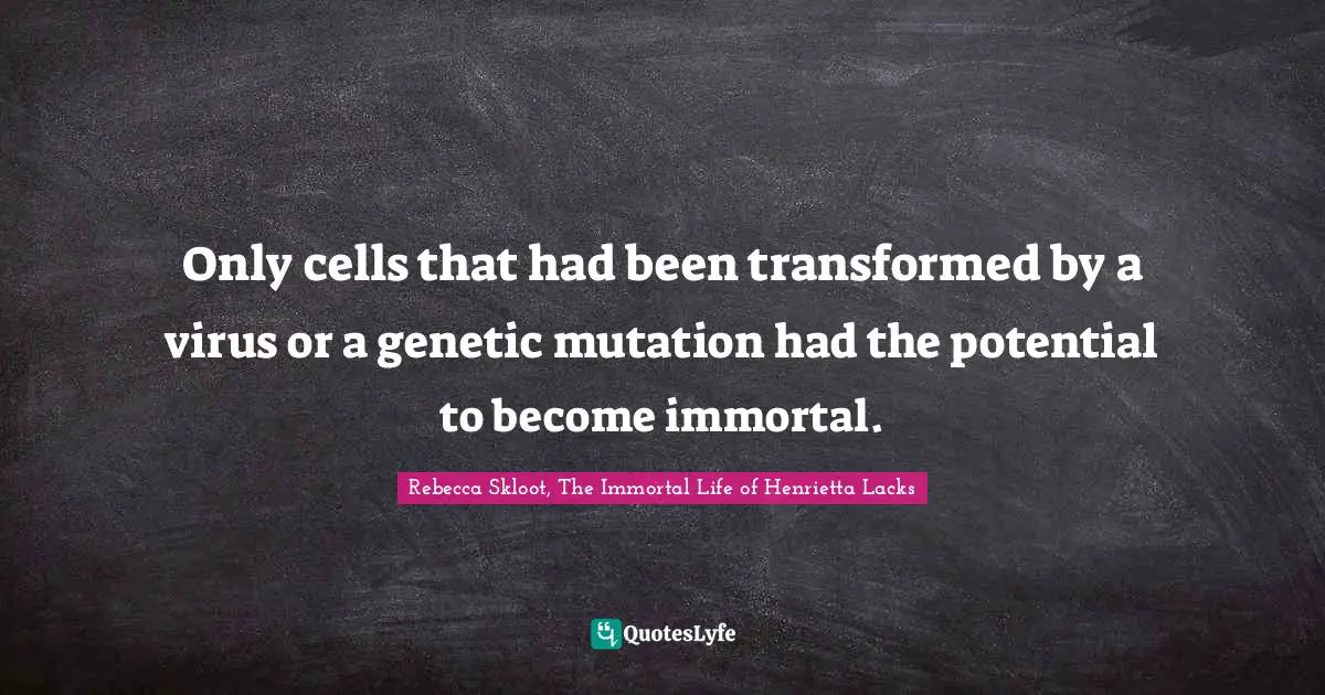 Only cells that had been transformed by a virus or a genetic mutation had the potential to become immortal.