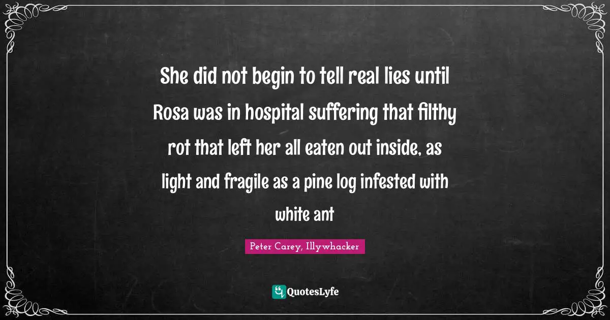 She did not begin to tell real lies until Rosa was in hospital suffering that filthy rot that left her all eaten out inside, as light and fragile as a pine log infested with white ant