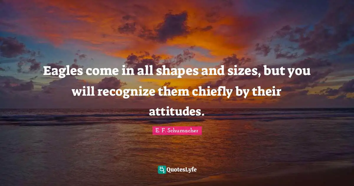 Eagles come in all shapes and sizes, but you will recognize them chiefly by their attitudes.
