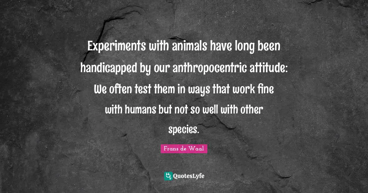 Experiments with animals have long been handicapped by our anthropocentric attitude: We often test them in ways that work fine with humans but not so well with other species.