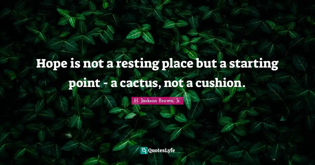 H. Jackson Brown, Jr. Quotes: Hope is not a resting place but a starting point - a cactus, not a cushion.