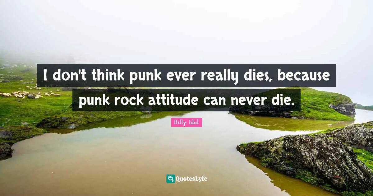 I don't think punk ever really dies, because punk rock attitude can never die.