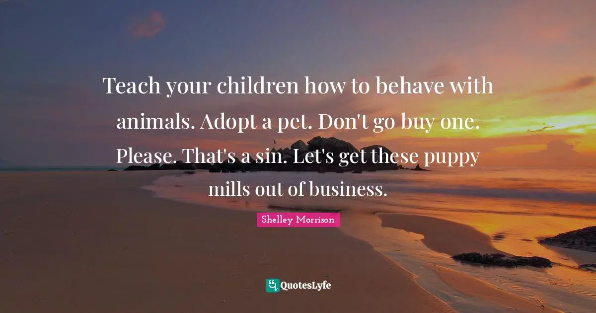Teach your children how to behave with animals. Adopt a pet. Don't go buy one. Please. That's a sin. Let's get these puppy mills out of business.
