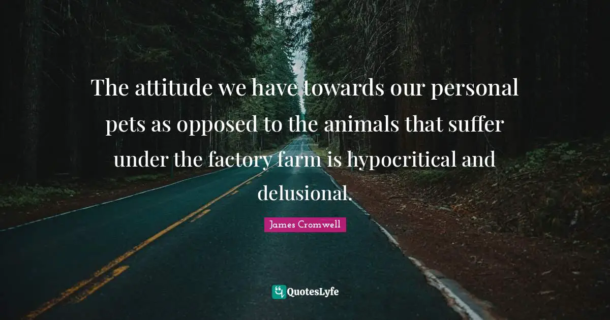 The attitude we have towards our personal pets as opposed to the animals that suffer under the factory farm is hypocritical and delusional.