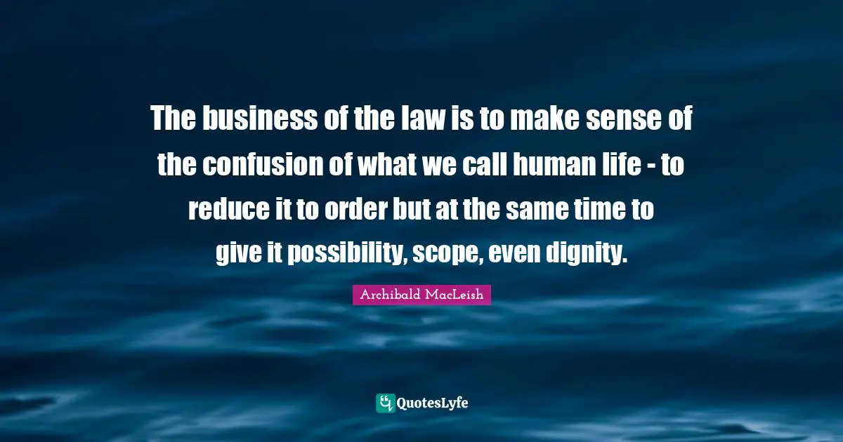 The business of the law is to make sense of the confusion of what we call human life - to reduce it to order but at the same time to give it possibility, scope, even dignity.