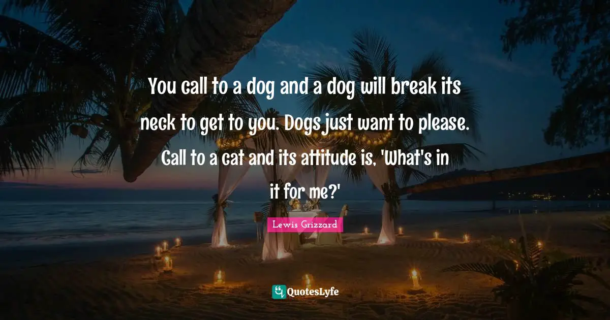 Lewis Grizzard Quotes: "You call to a dog and a dog will break its neck to get to you. Dogs just want to please. Call to a cat and its attitude is, 'What's in it for me?'"