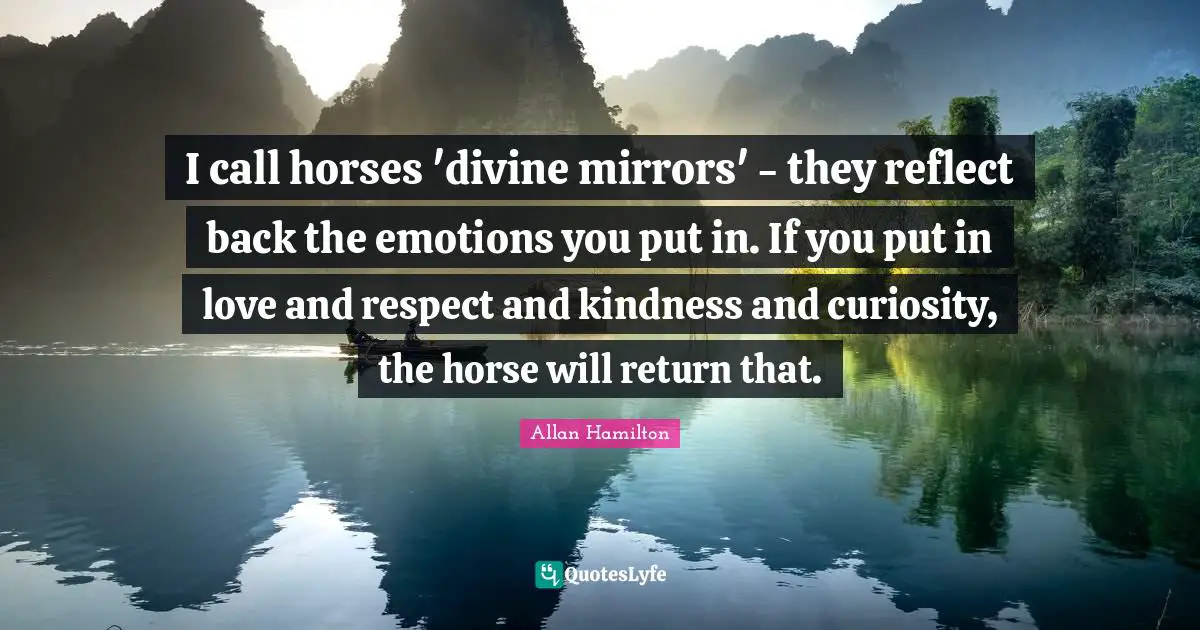 I call horses 'divine mirrors' - they reflect back the emotions you put in. If you put in love and respect and kindness and curiosity, the horse will return that.