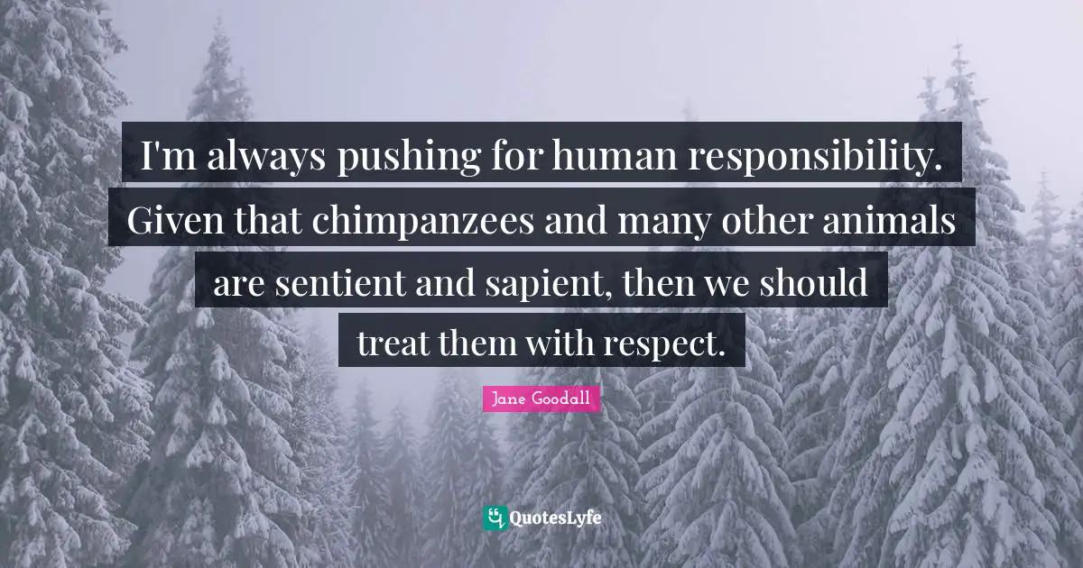 I'm always pushing for human responsibility. Given that chimpanzees and many other animals are sentient and sapient, then we should treat them with respect.