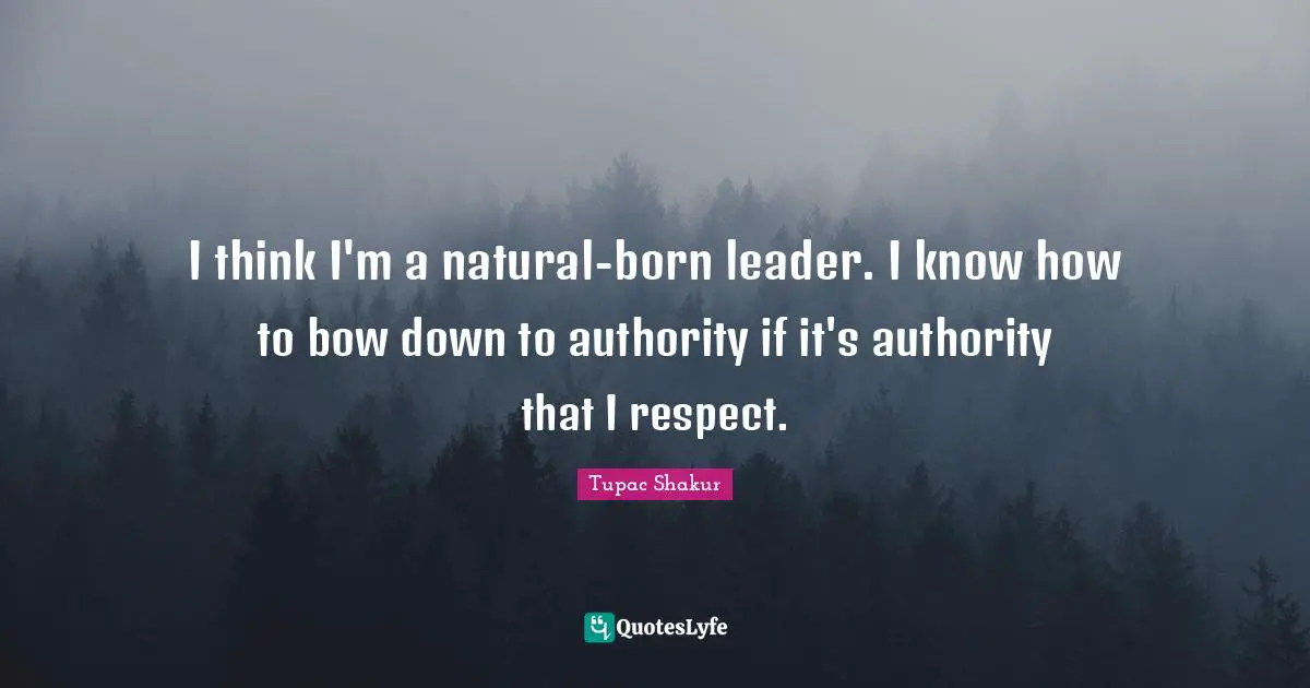 I think I'm a natural-born leader. I know how to bow down to authority if it's authority that I respect.