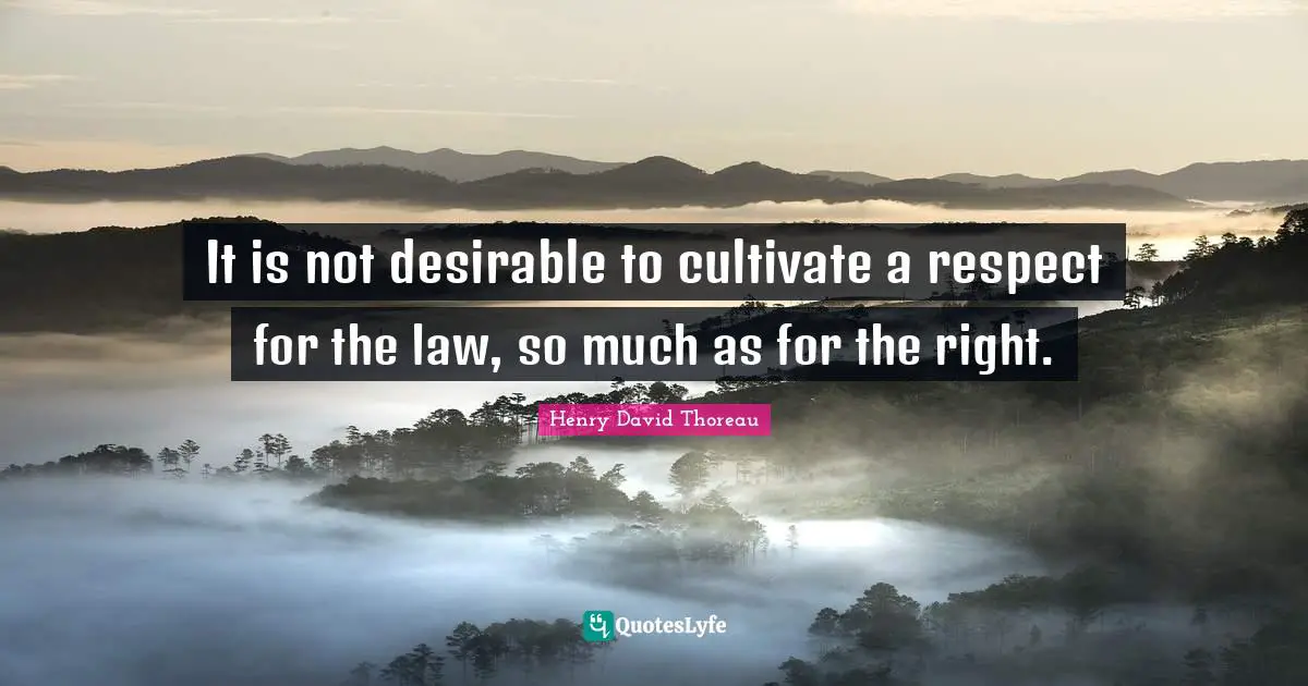 Henry David Thoreau Quotes: It is not desirable to cultivate a respect for the law, so much as for the right.