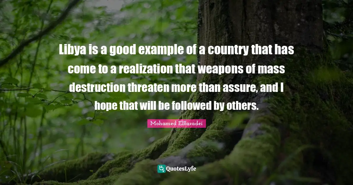 Libya is a good example of a country that has come to a realization that weapons of mass destruction threaten more than assure, and I hope that will be followed by others.