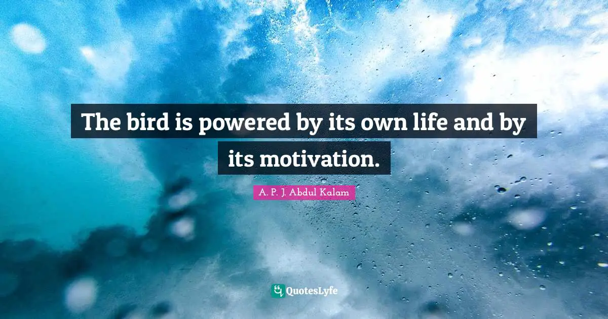 The bird is powered by its own life and by its motivation.