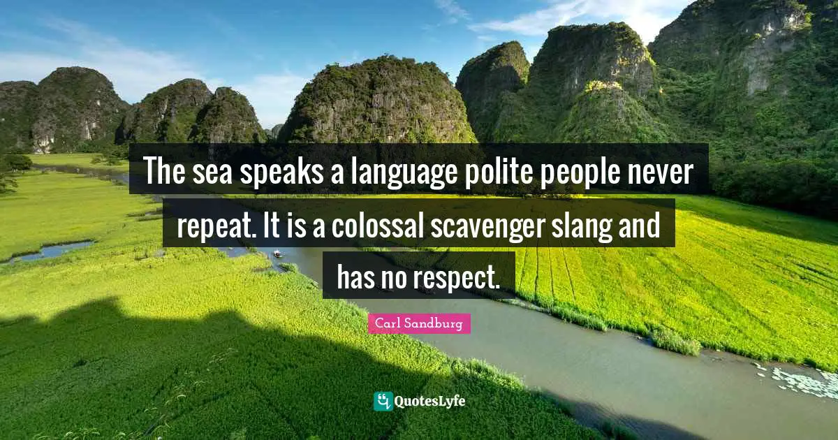 The sea speaks a language polite people never repeat. It is a colossal scavenger slang and has no respect.