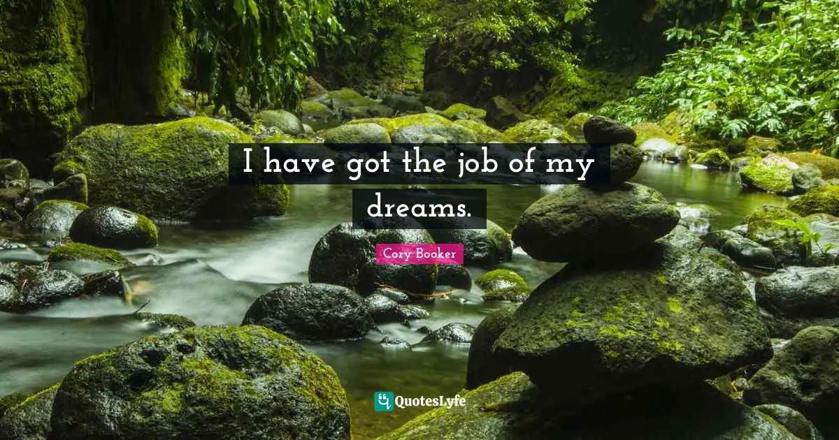 Cory Booker Quotes: "I have got the job of my dreams."