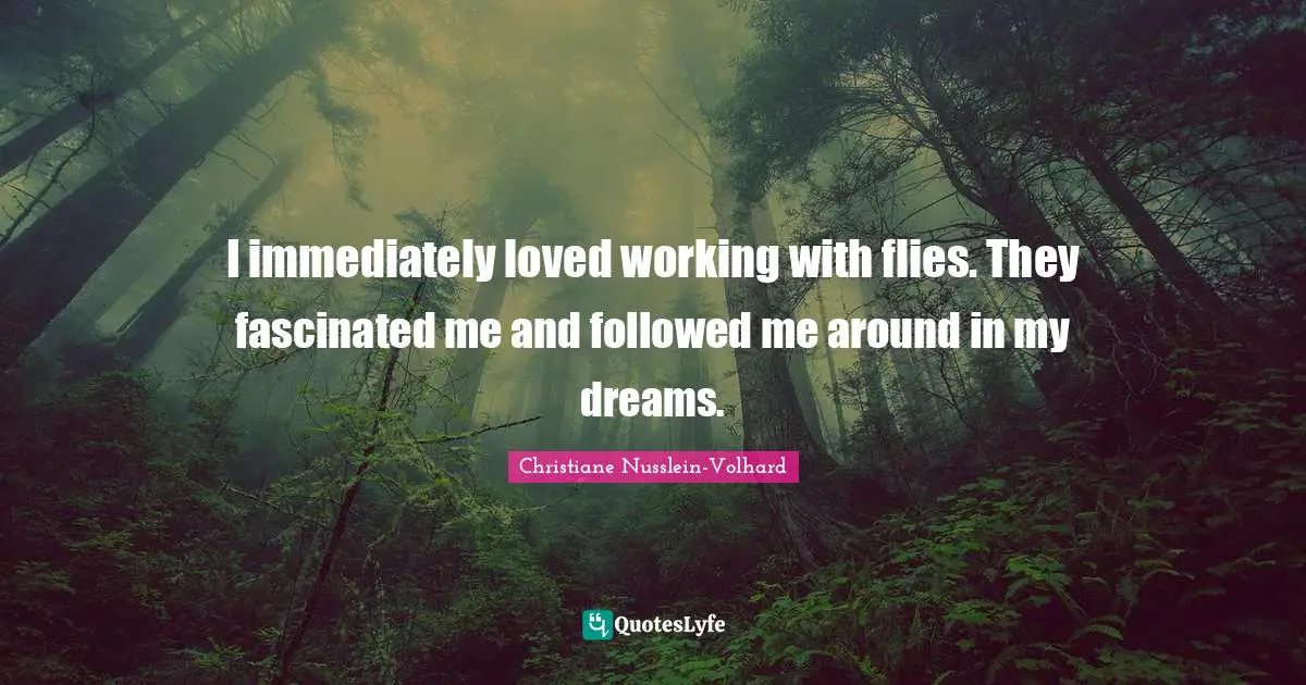 I immediately loved working with flies. They fascinated me and followed me around in my dreams.