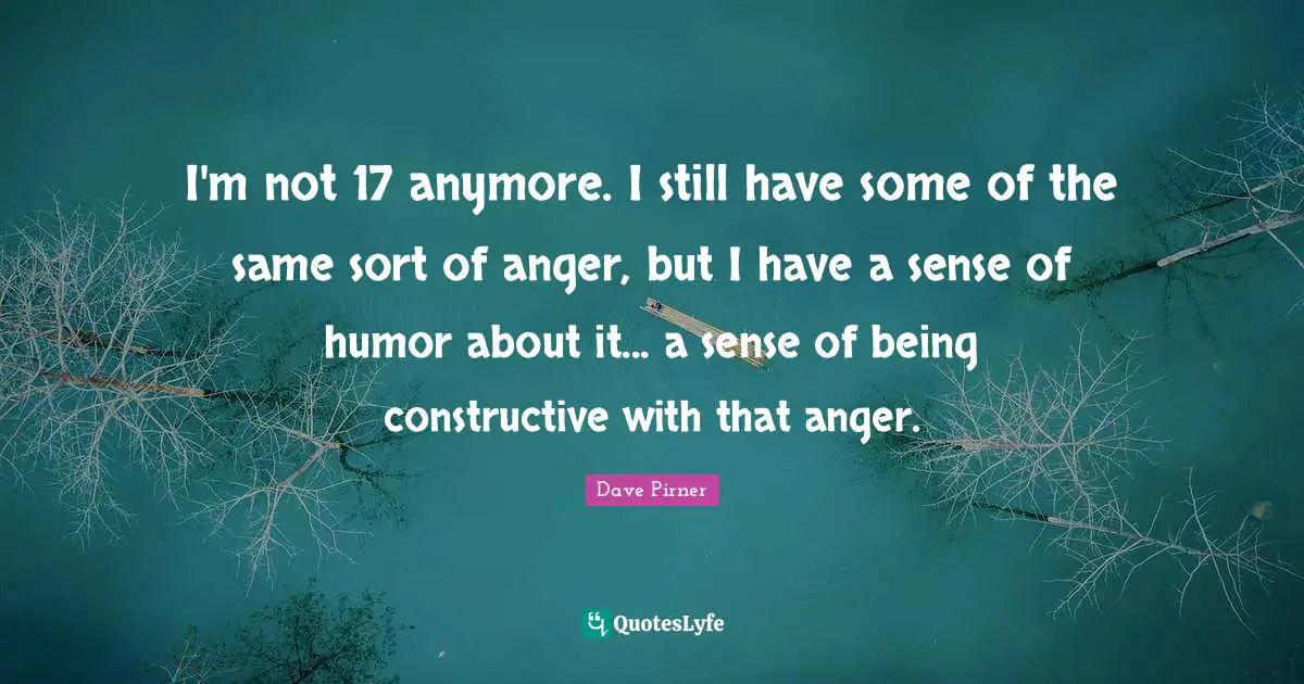 I'm not 17 anymore. I still have some of the same sort of anger, but I have a sense of humor about it... a sense of being constructive with that anger.
