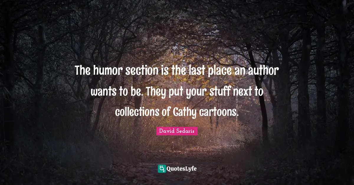 The humor section is the last place an author wants to be. They put your stuff next to collections of Cathy cartoons.