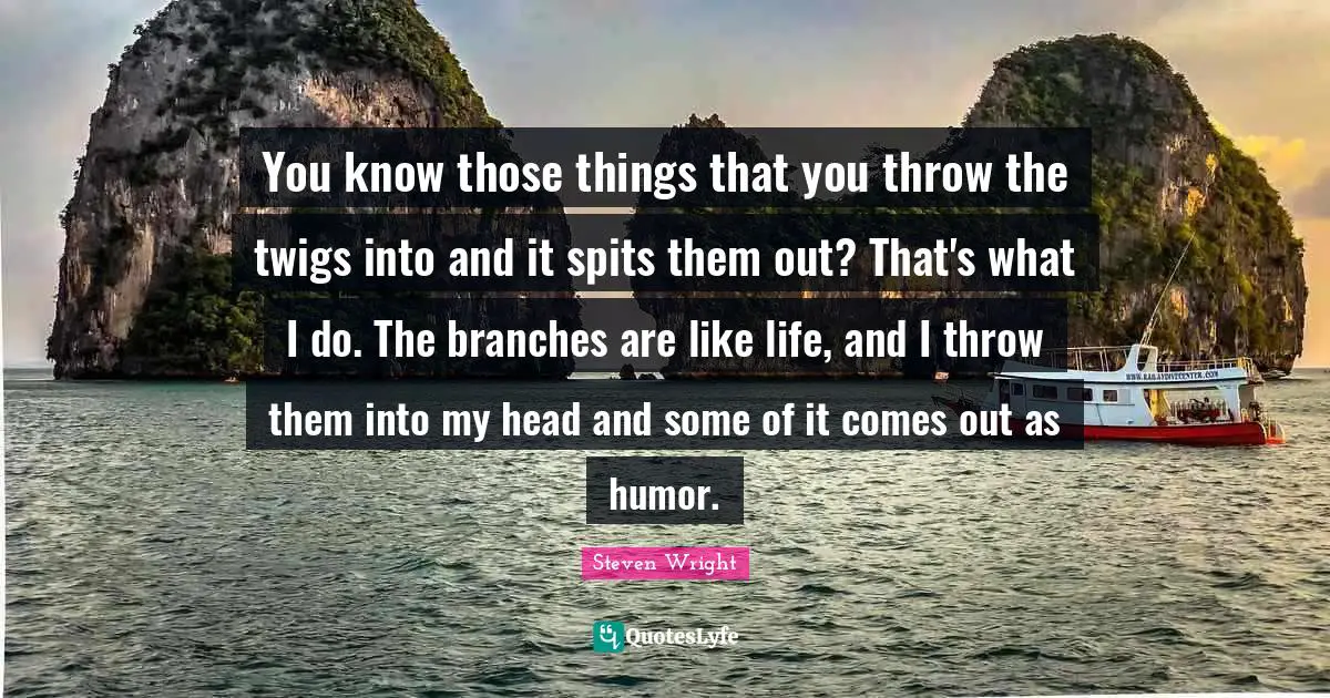 You know those things that you throw the twigs into and it spits them out? That's what I do. The branches are like life, and I throw them into my head and some of it comes out as humor.