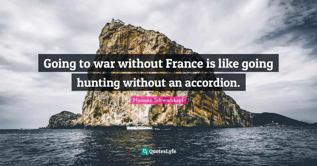 Going to war without France is like going hunting without an accordion.