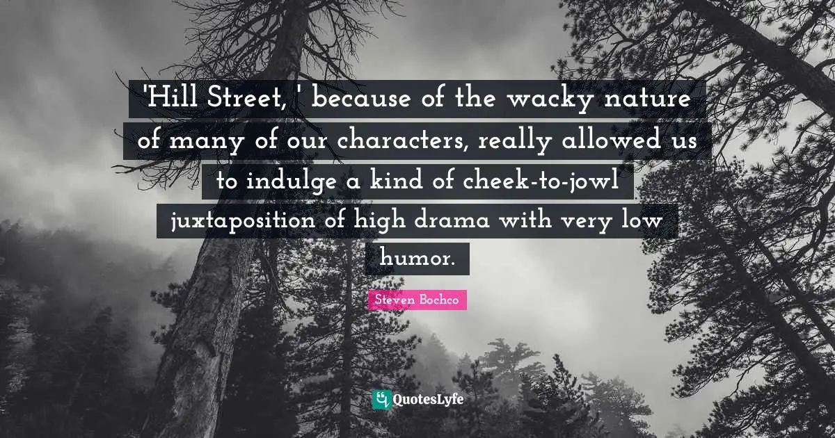 'Hill Street, ' because of the wacky nature of many of our characters, really allowed us to indulge a kind of cheek-to-jowl juxtaposition of high drama with very low humor.