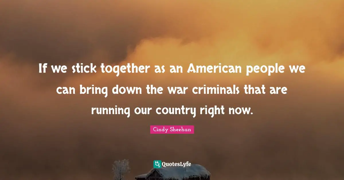 Cindy Sheehan Quotes: "If we stick together as an American people we can bring down the war criminals that are running our country right now."