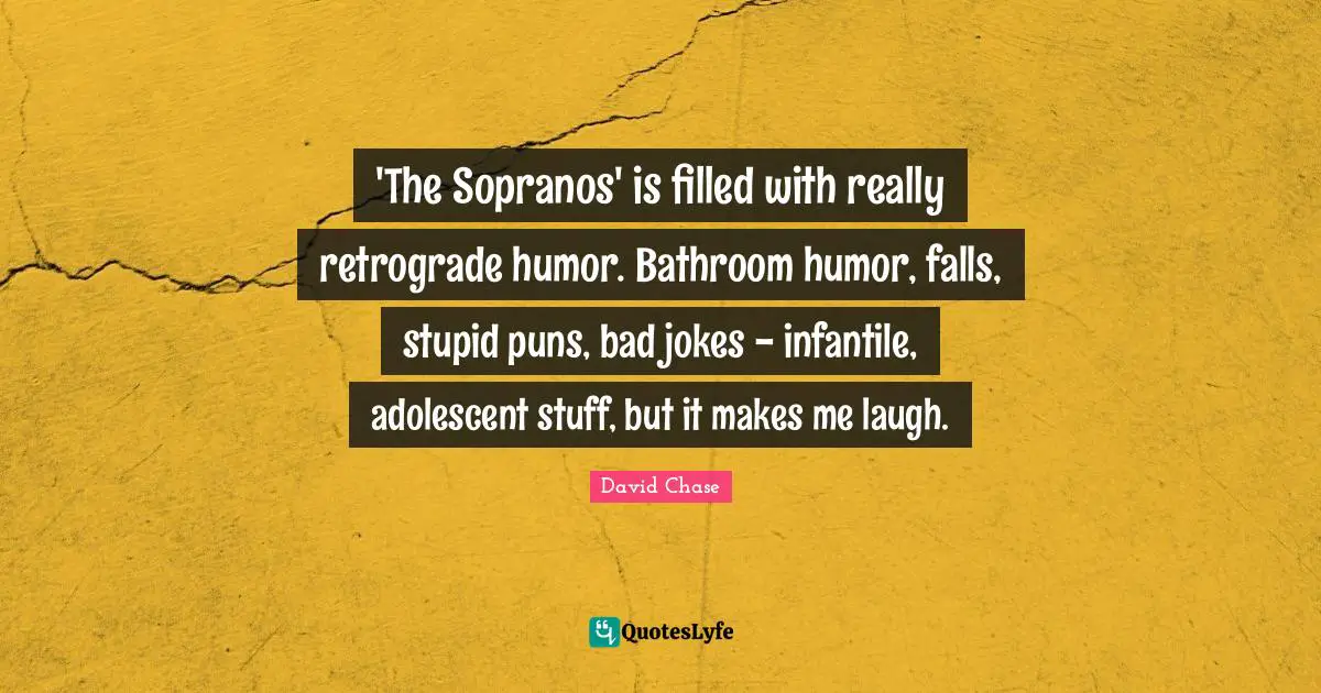 'The Sopranos' is filled with really retrograde humor. Bathroom humor, falls, stupid puns, bad jokes - infantile, adolescent stuff, but it makes me laugh.