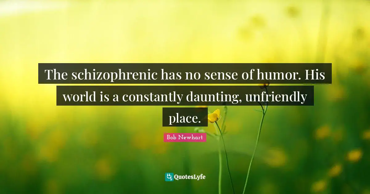The schizophrenic has no sense of humor. His world is a constantly daunting, unfriendly place.