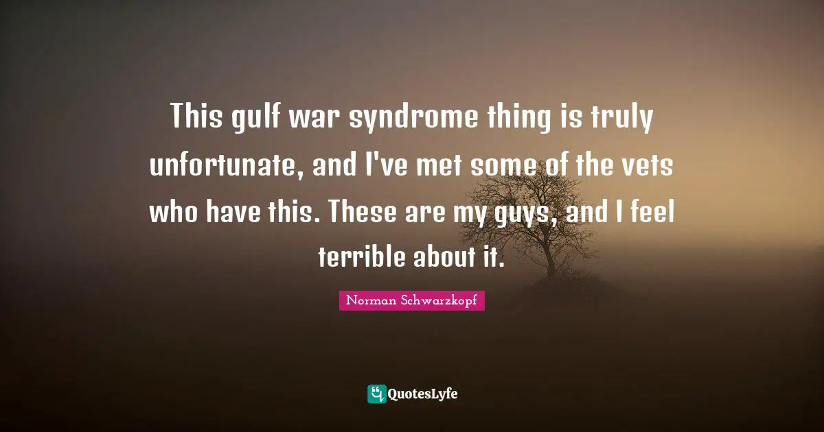 This gulf war syndrome thing is truly unfortunate, and I've met some of the vets who have this. These are my guys, and I feel terrible about it.
